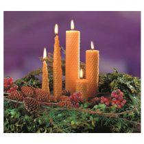 Bienenwachswaben Set