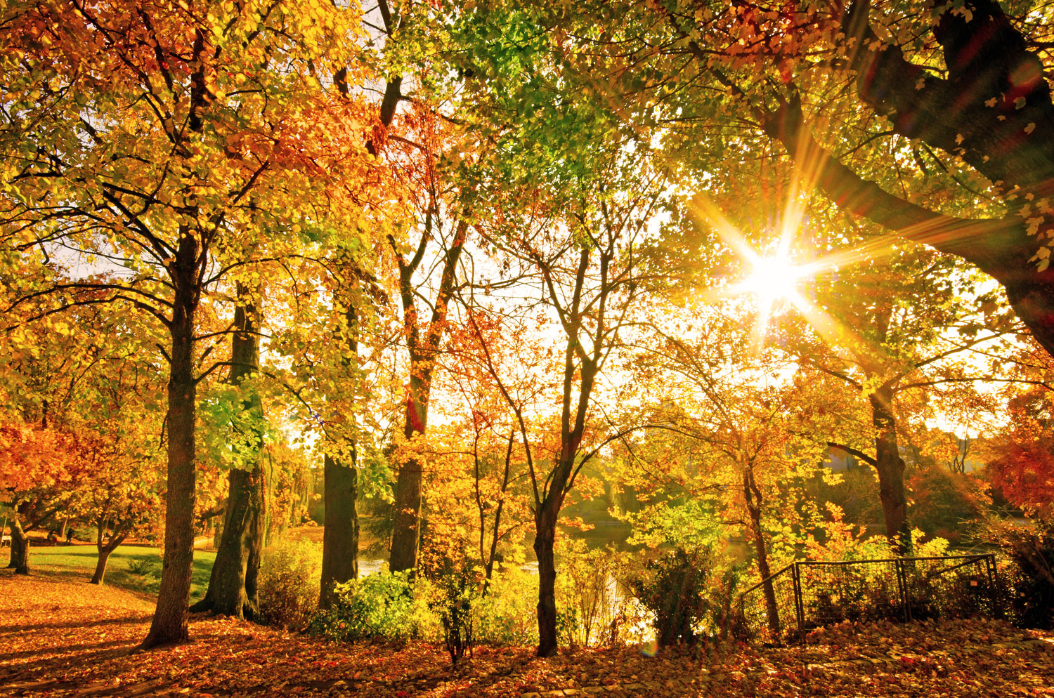 ABC der Herbst Wörter Agropha GmbH